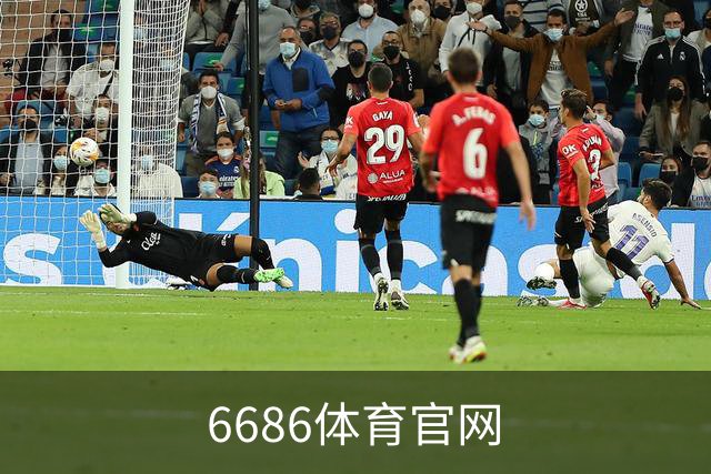 6686体育官网公司介绍展示图